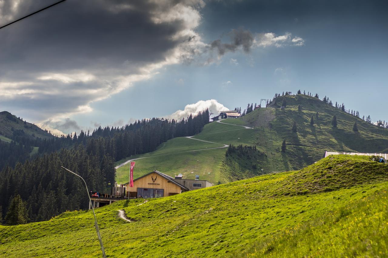 Schmiedhof Alm Hotel Zell am See Eksteriør billede